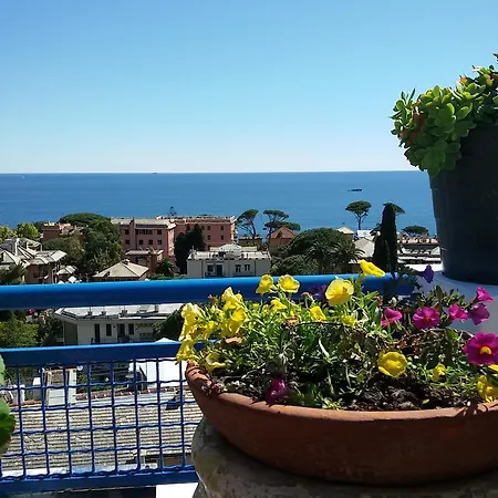 Apartment House Vistaerea *